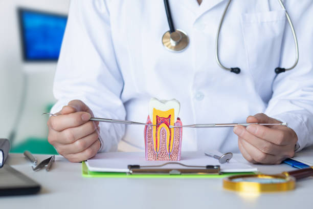 Best Root Canal Emergency Dentist  in North Browning, MT